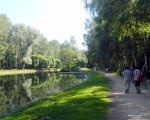 Где в Москве можно отдохнуть на природе:  Путяевские пруды, Сокольники фотография 1
