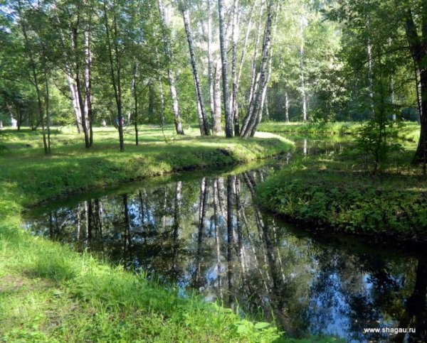 Где в Москве можно отдохнуть на природе:  Путяевские пруды, Сокольники фотография 2