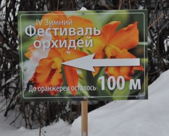 Зимнее лето в Москве на Фестивале орхидей в Аптекарском огороде фотография 3