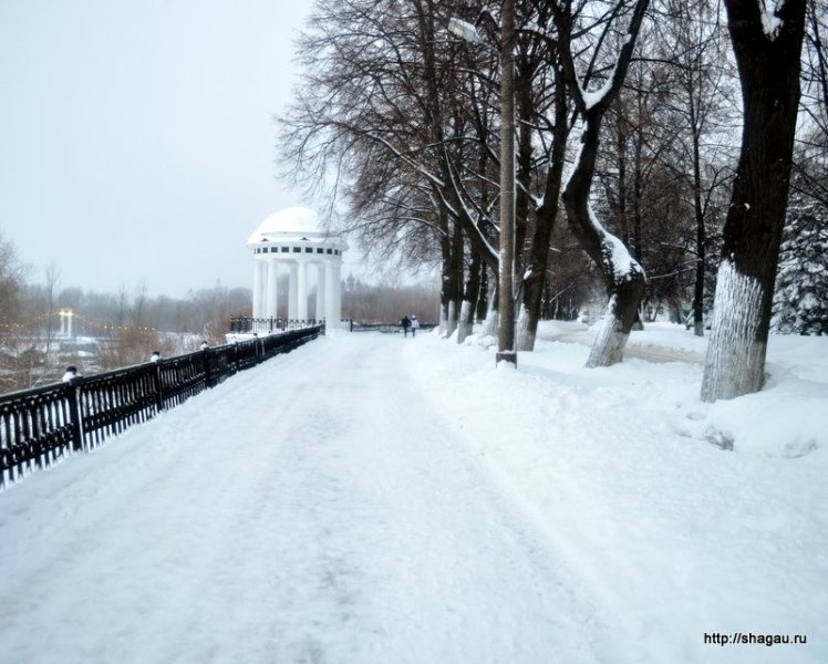 Поездка в Ярославль зимой: день 1 фотография 16