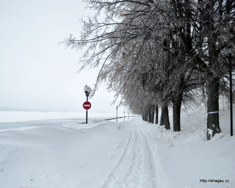 Поездка в Ярославль зимой: день 1 фотография 13