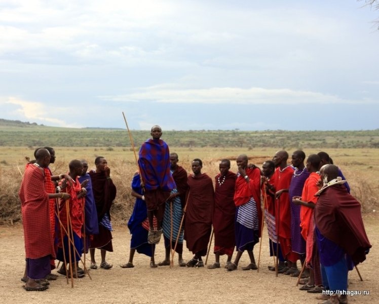 Колоритная Танзания: деревня масаев фотография 2