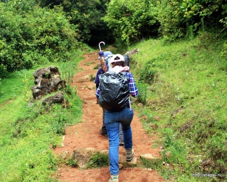 Восхождение на Килиманджаро, часть 2 фотография 1