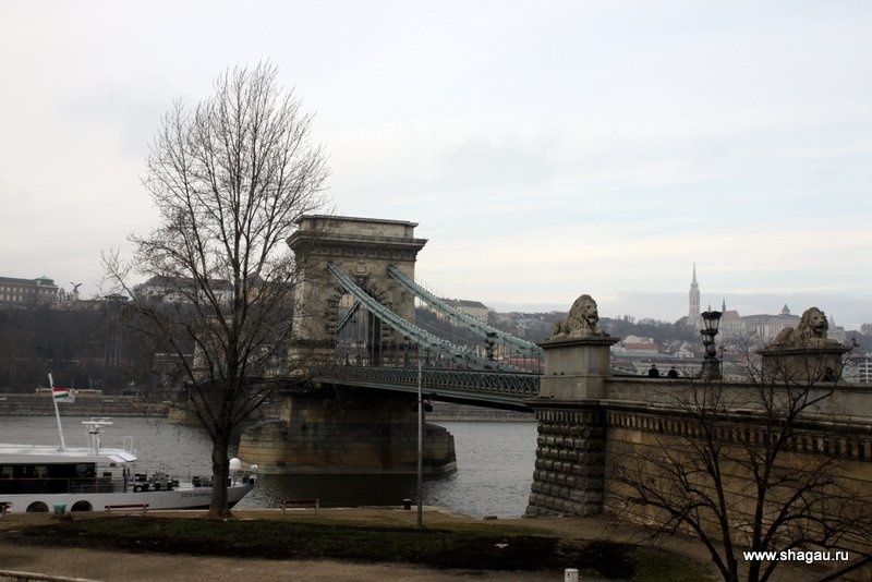 Цепной мост со львами в Будапеште
