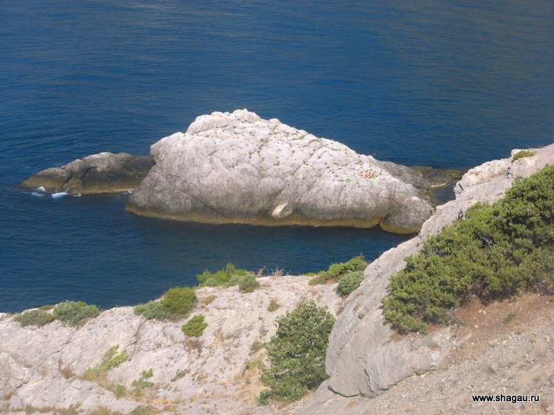 Остров черепаха в Крыму