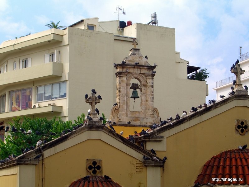Голуби на крыши Собора Св. Екатерины