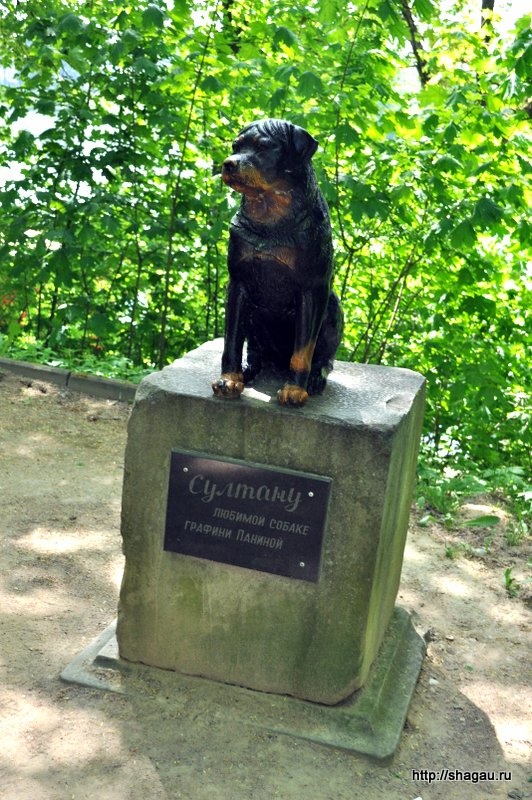 Памятник любимой собаке графини Паниной