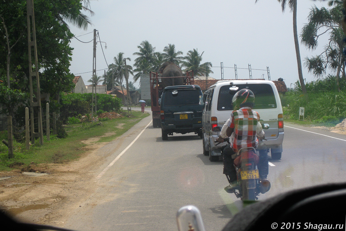 Дорожное движение Шри-Ланки