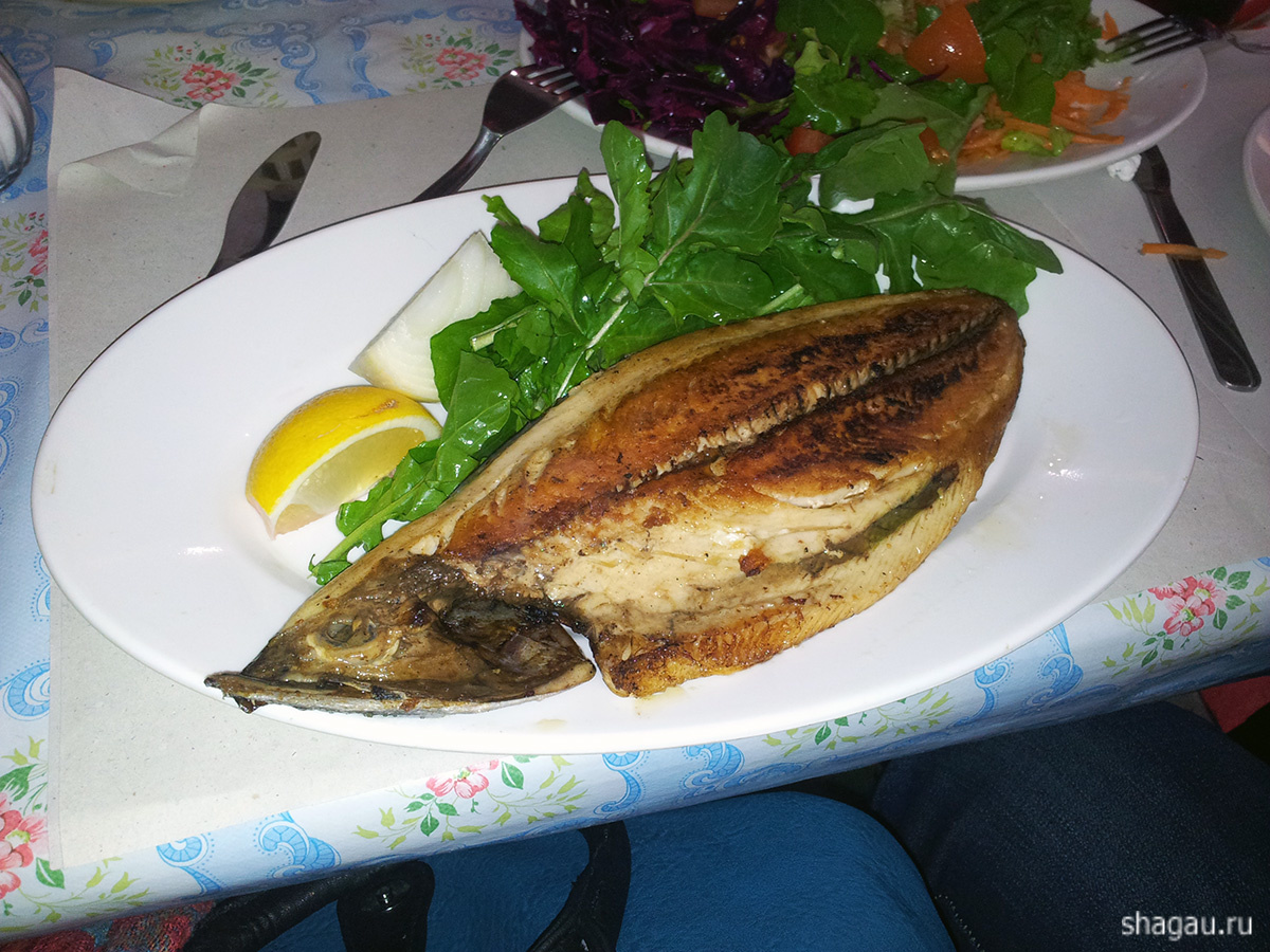 рыба в Стамбуле