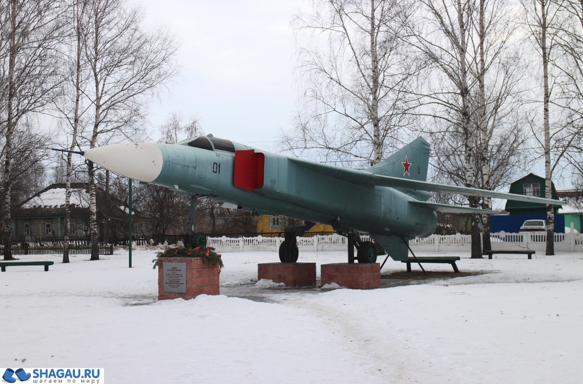 самолет, символизирующий подвиг уроженца Путятинского района Василия Тимофеевича Алексухина