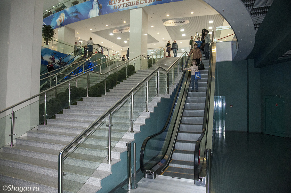 Эскалаторы на второй этаж