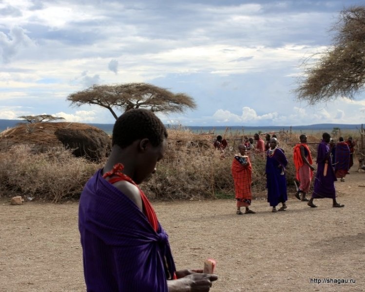 Колоритная Танзания: деревня масаев фотография 1