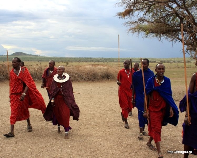 Колоритная Танзания: деревня масаев фотография 3