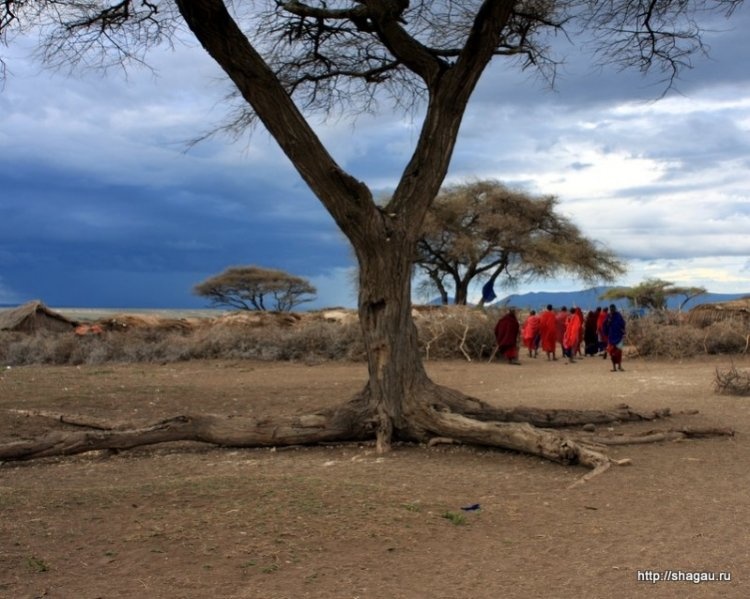 Колоритная Танзания: деревня масаев фотография 11