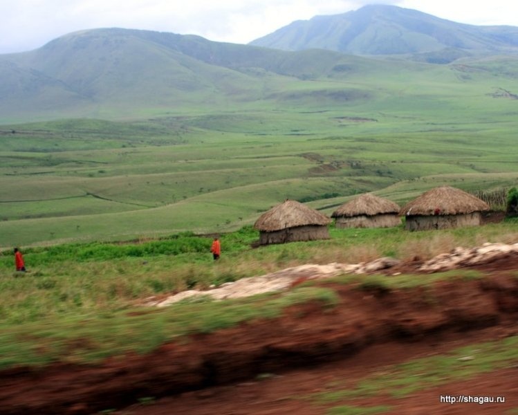 Сафари в Танзании: национальный парк Серенгетти фотография 5