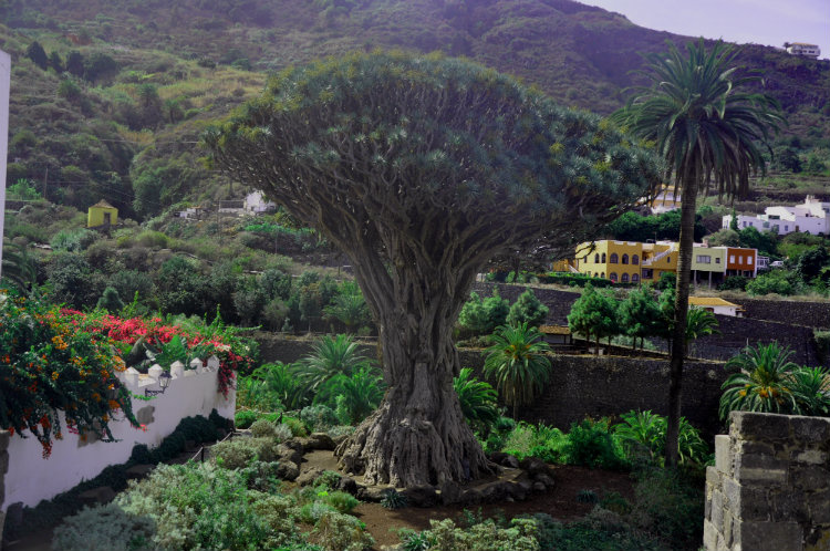 Развлекательные парки на острове Тенерифе для детей и взрослых фотография 4