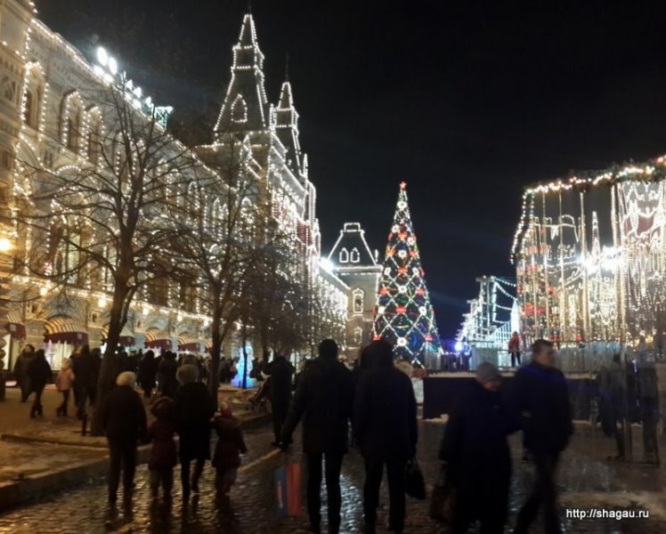 Новый год 2013-2014 в Москве: ярмарки, гуляния, где встретить новый год фотография 7