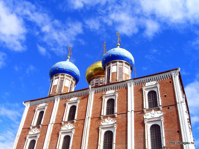 Купола Успенского собора Рязанского Кремля