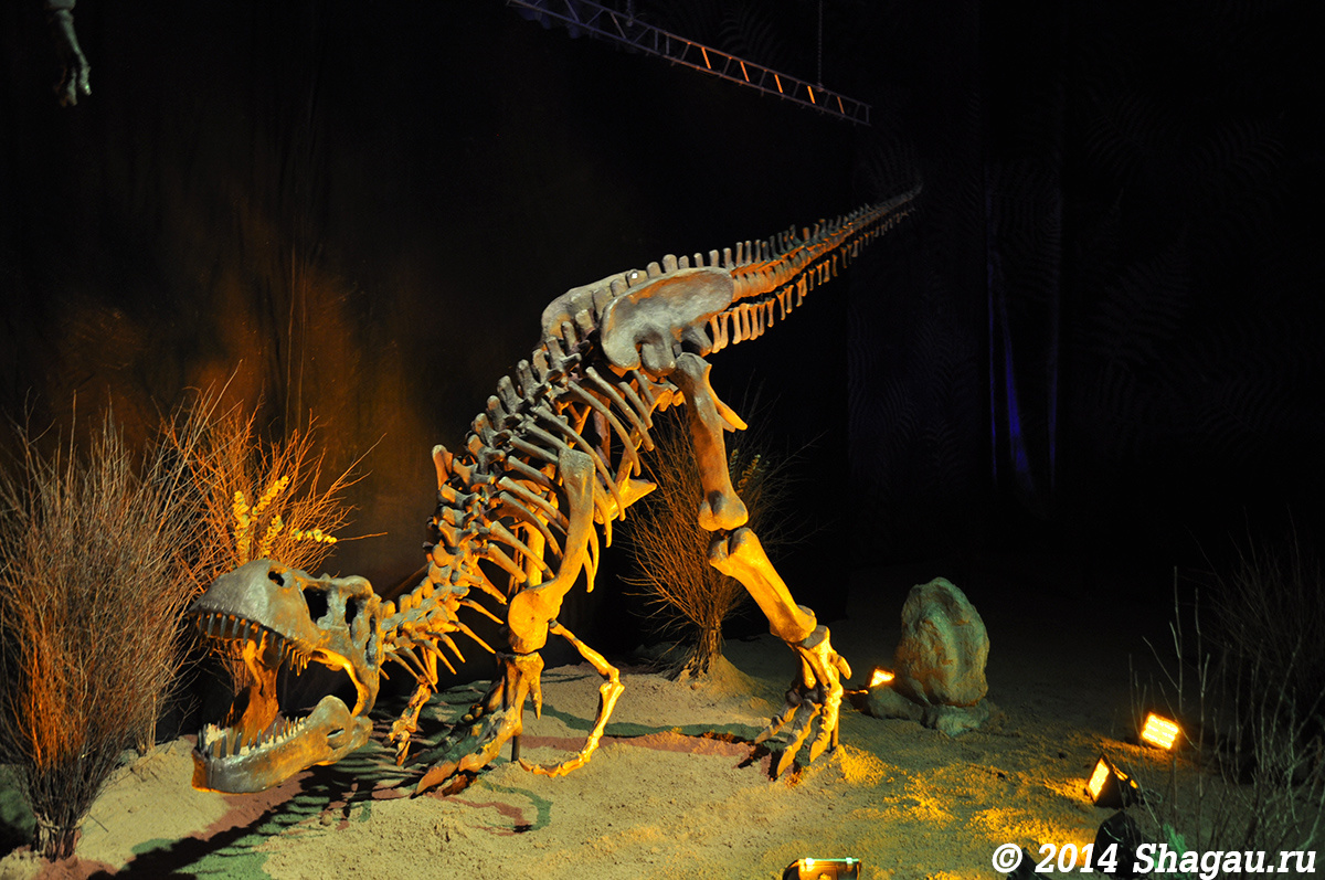 Скелет Динозавра