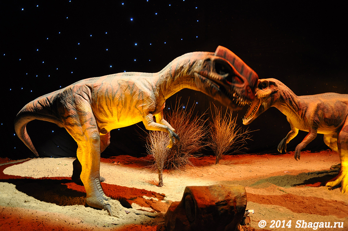 Выставка динозавров колизей