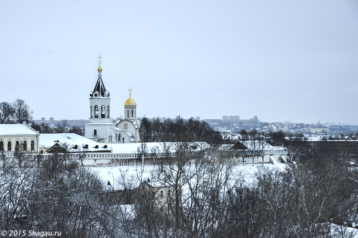 Вид на Рождественский монастырь со смотровой площадки около Дмитриевского собора
