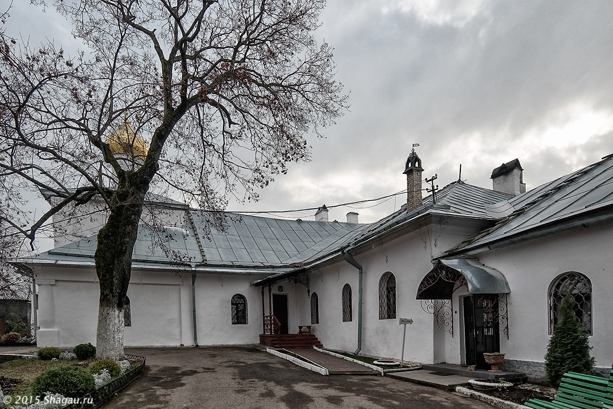 Посещение Снетогорского монастыря под Псковом фотография 7