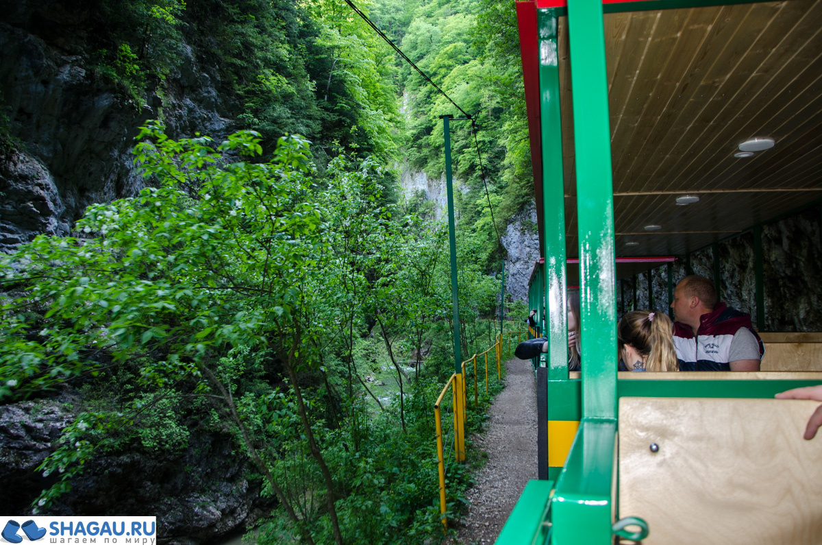 Поездка на горном поезде по Гуамскому ущелью в Адыгее