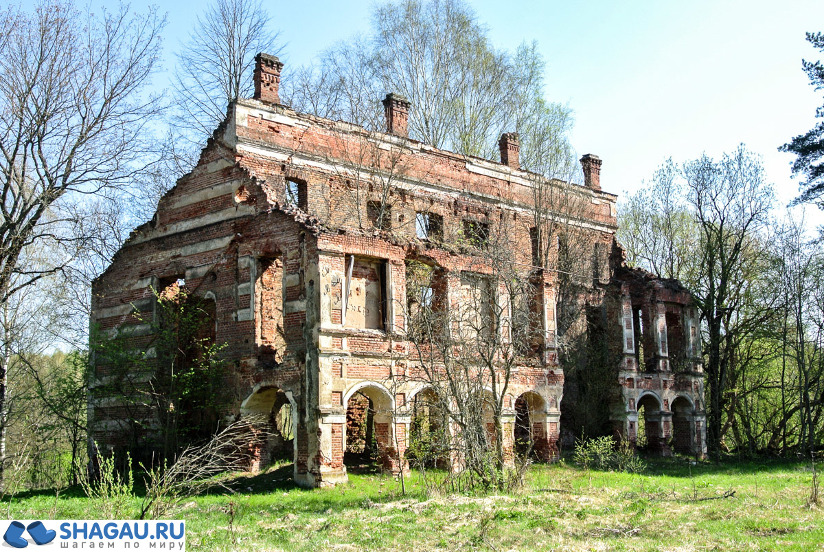 Руины дворца Тышкевичей 