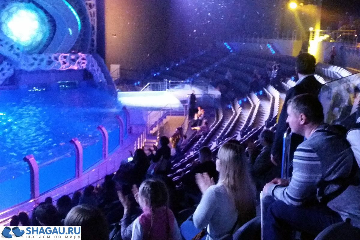 Москвариум: отзыв о посещении самого большого океанариума в Европе и водного шоу фотография 10