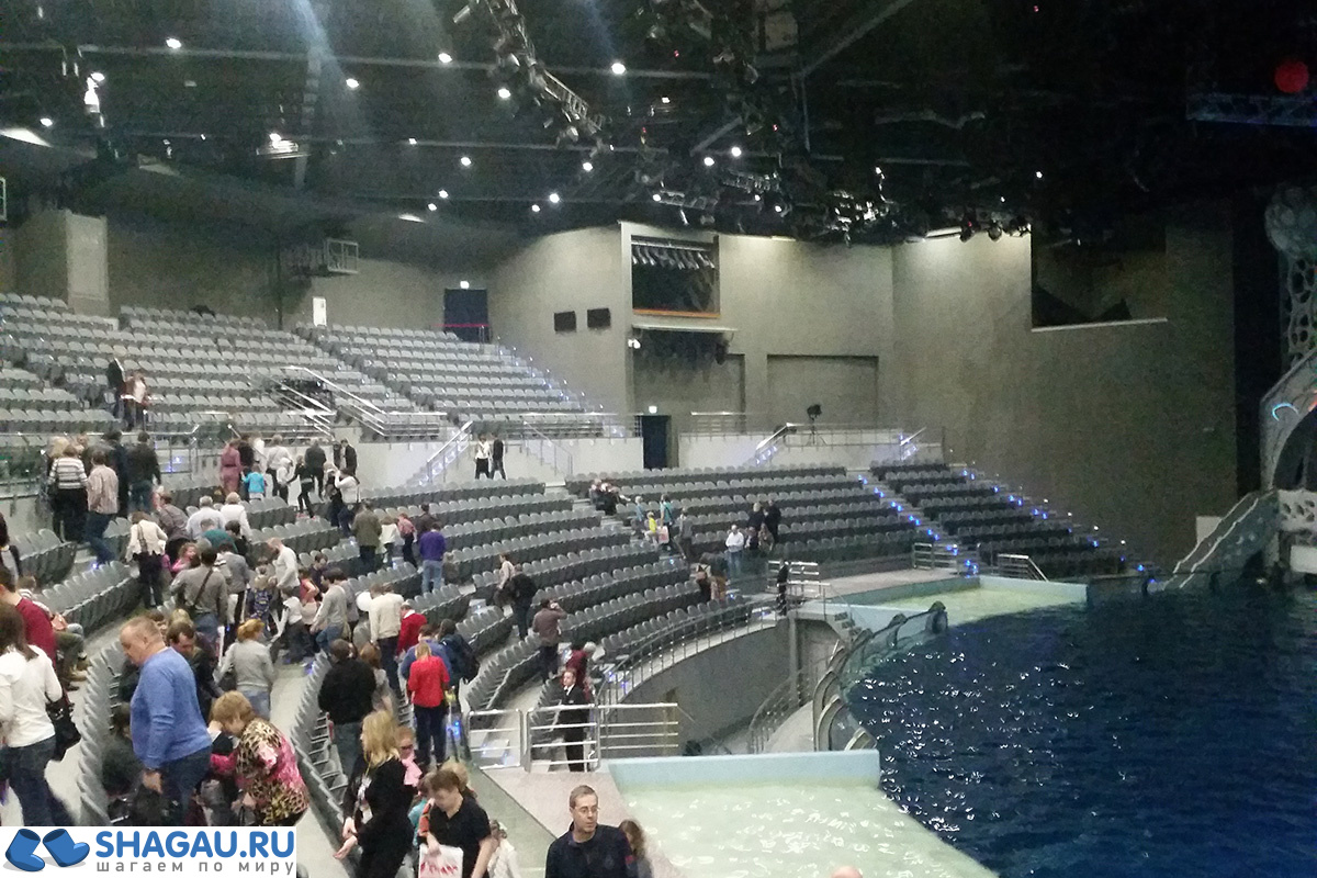 Москвариум: отзыв о посещении самого большого океанариума в Европе и водного шоу фотография 7