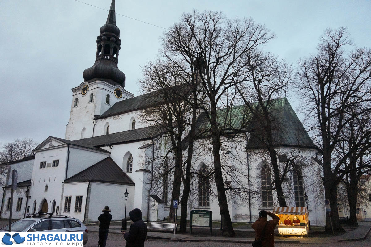 Выходные в Таллине. Церковь Оливисте