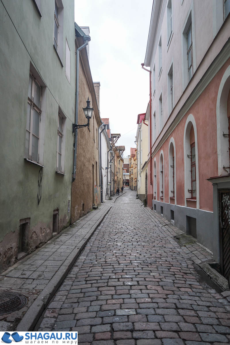 Выходные в Таллине. Улица Сауна